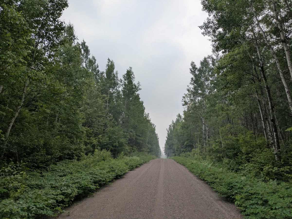 McDougal Lake trail photo