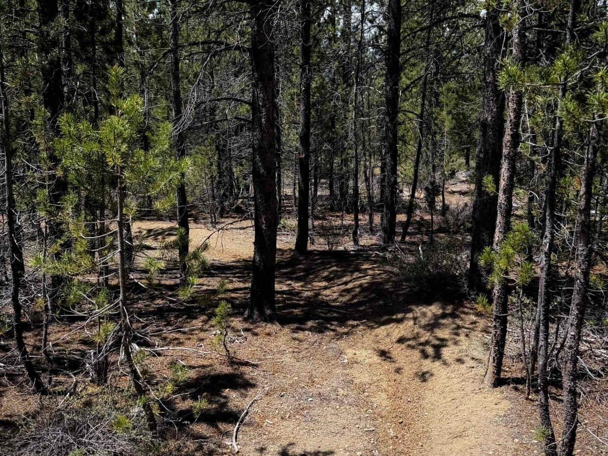 Trail 25  photo 2