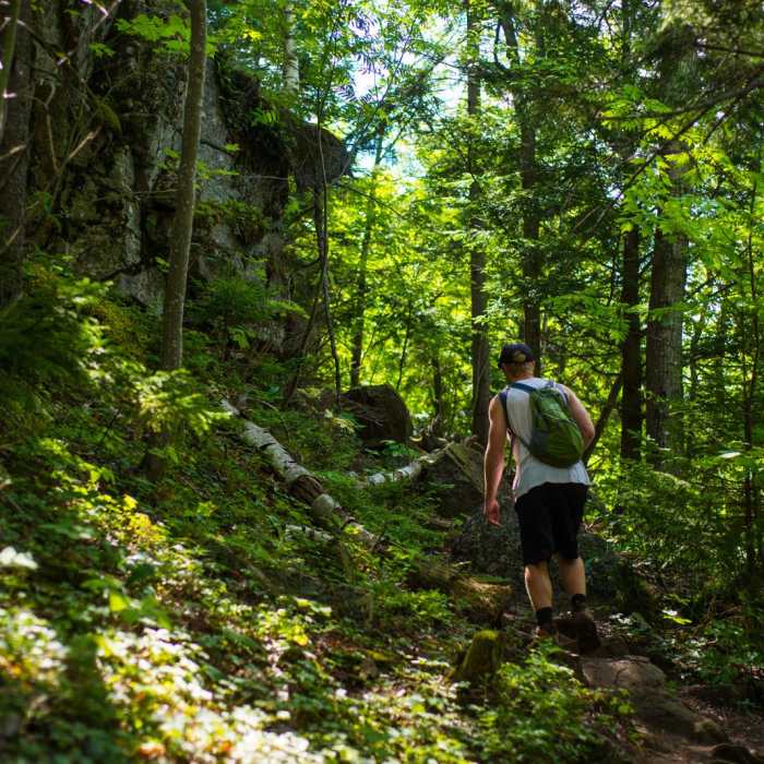 Near Noonmark Mountain