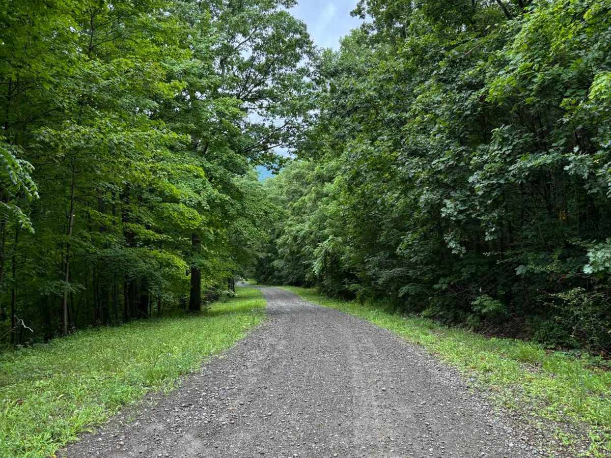 Warren Road photo 4