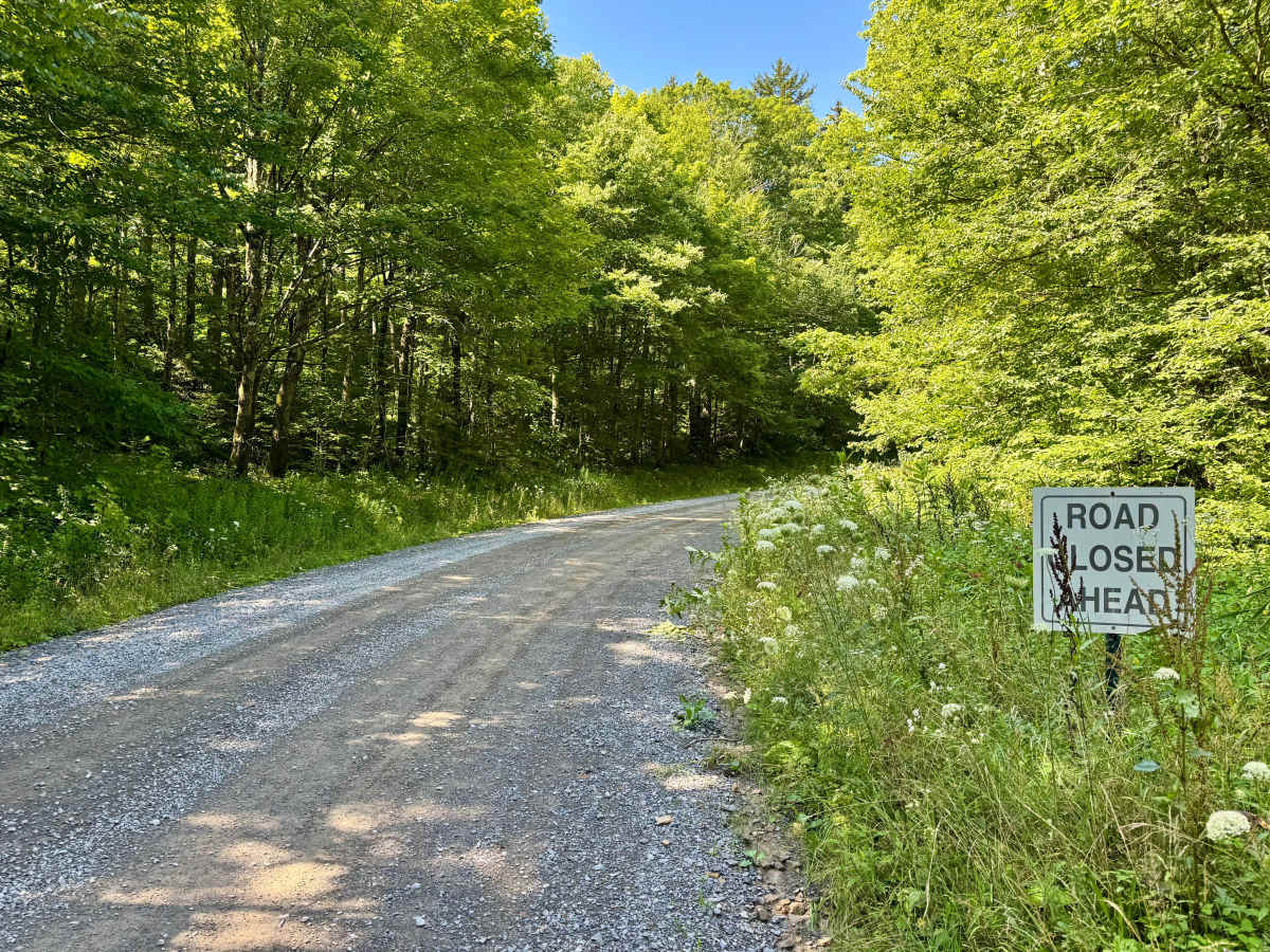 Bear Run Road - FS 223 photo 6