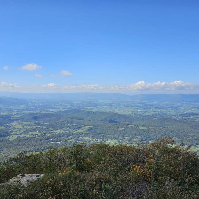 Near Millers Head Trail