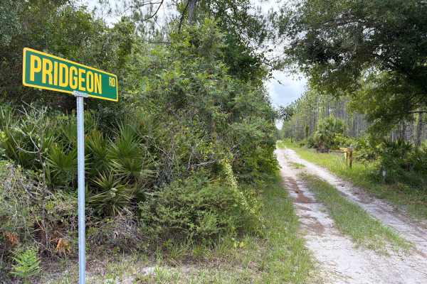 Pridgeon Road