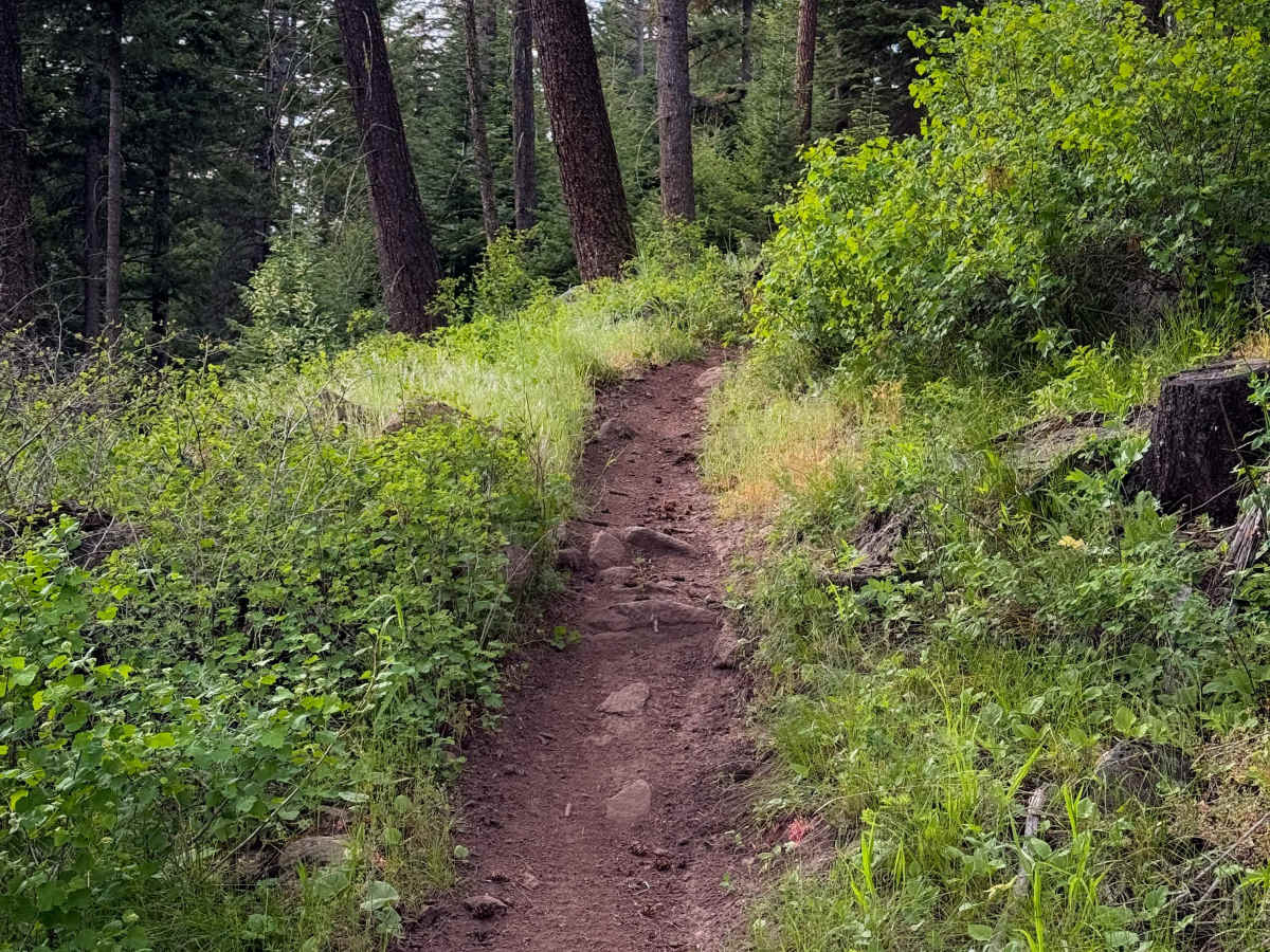 Hillside Ride - Trail 327  photo 3