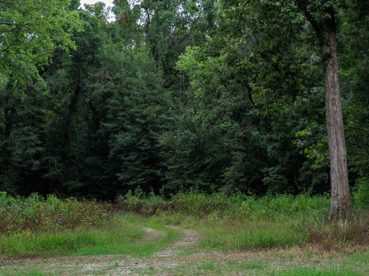 Savannah River Access photo 4