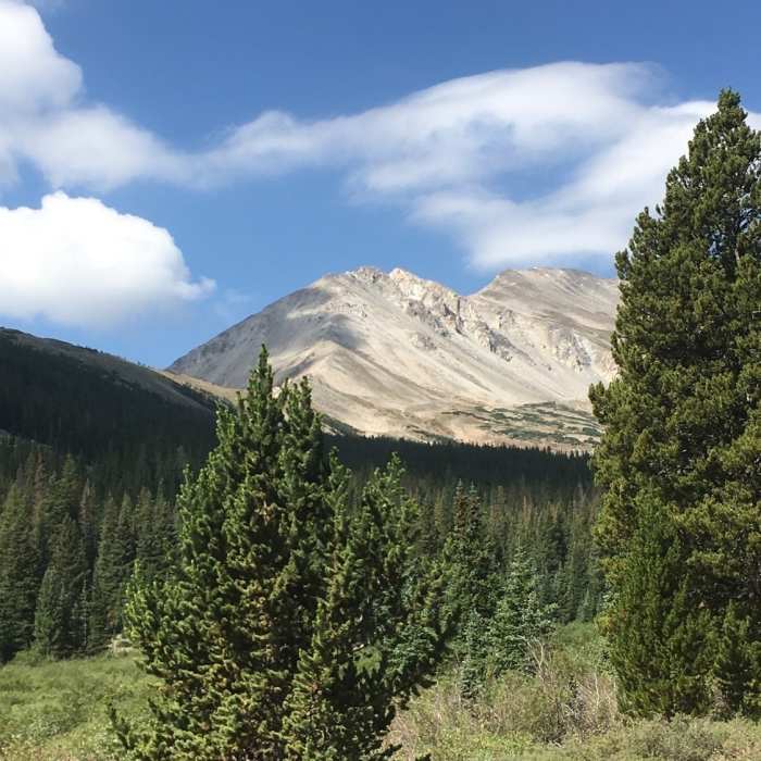 This was early on in the trail, but I believe it's Mt. Yale. Please correct me if you know for sure which mountain it is. :-) Near Mount Yale East Ridge