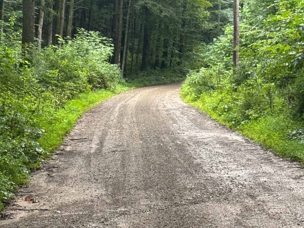 Little Bear Creek Road photo 5