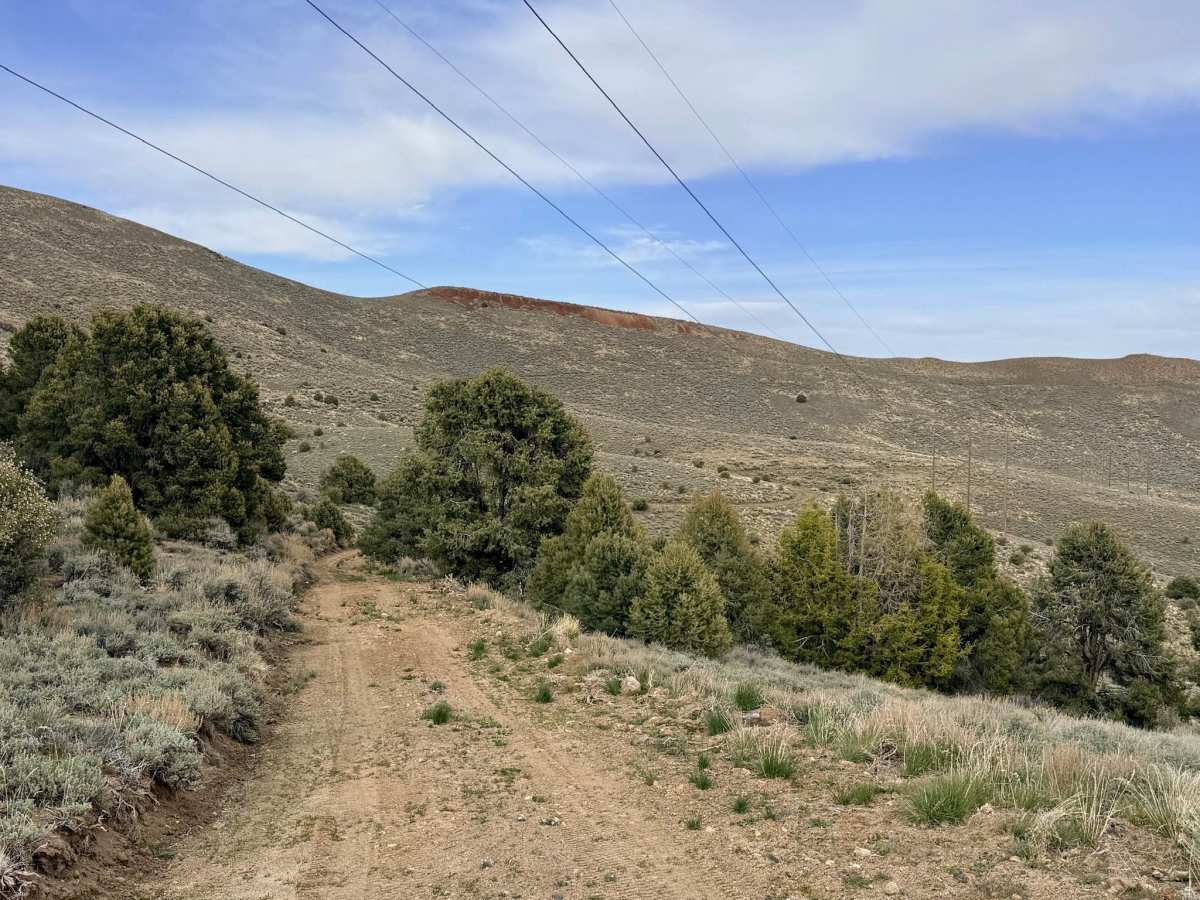 Willow Creek Loop (FS43493) photo 5