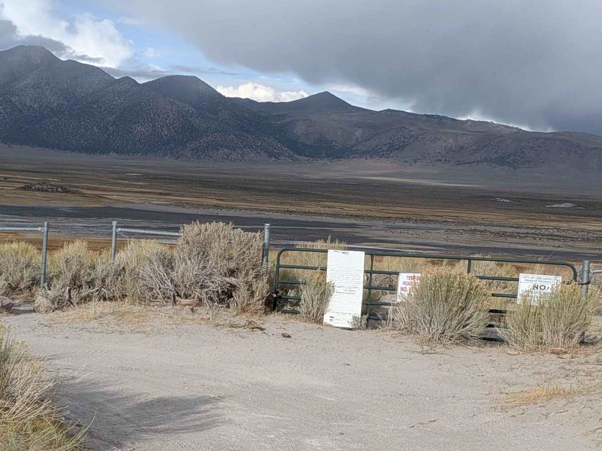 Wild Willy's Hot Springs photo 2