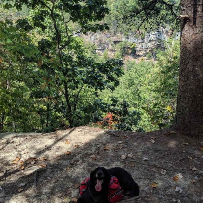 Near River Gorge Trail