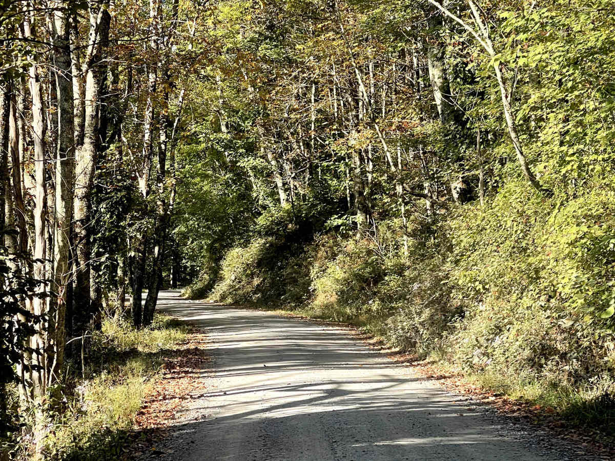 Lee Gualtney Road trail photo