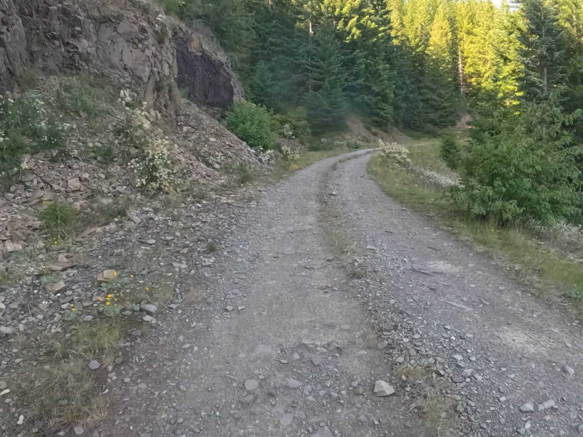 FS 1168-000 trail photo