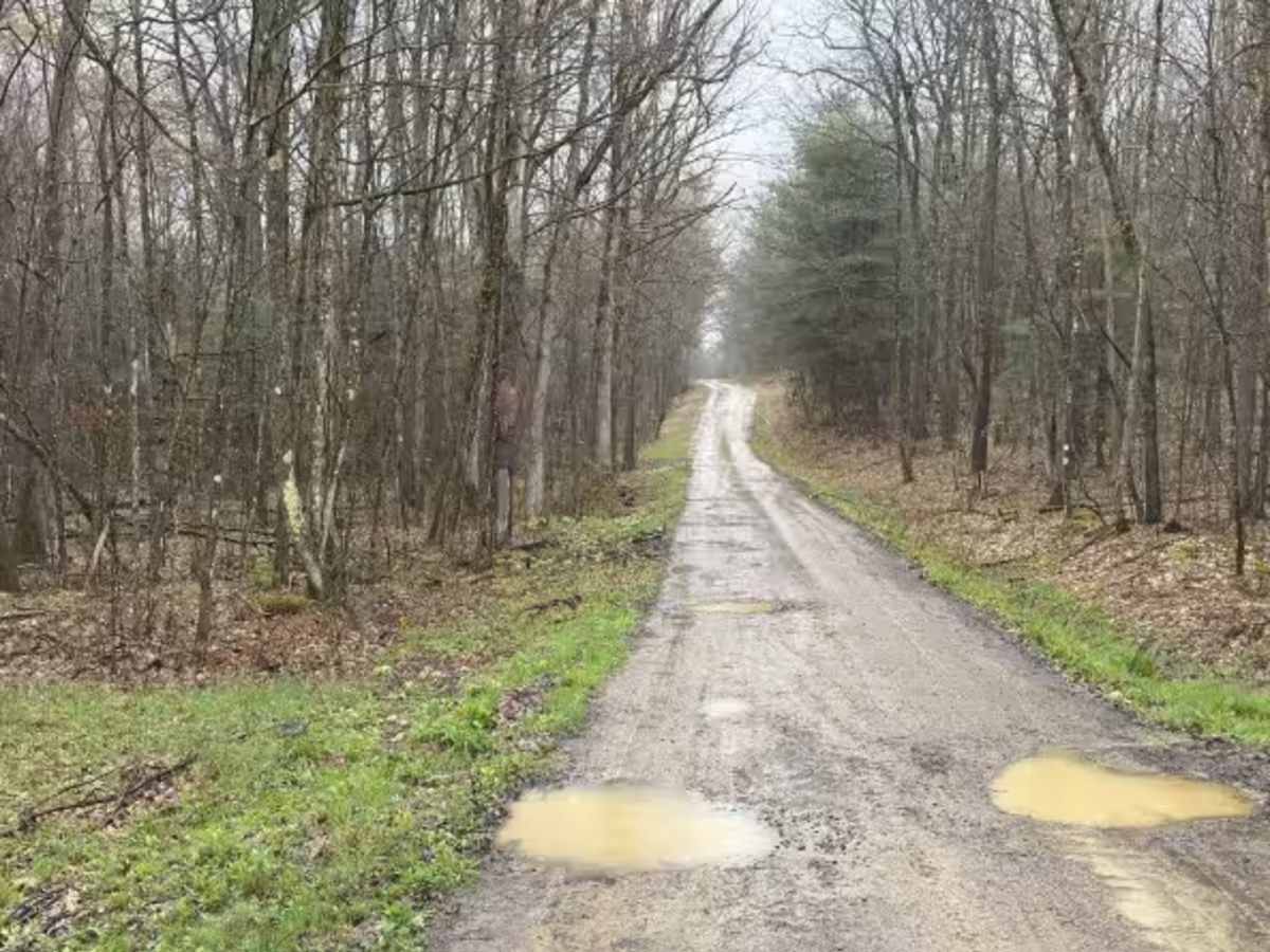 Elk Horn Run - FS 155 photo 3