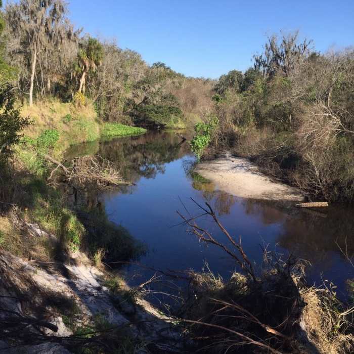 Little Manatee River Near Little Manatee River State Park