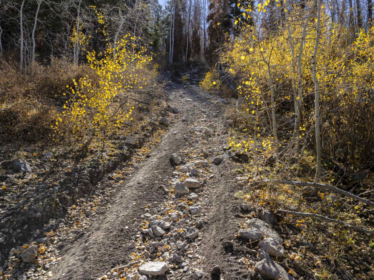 Clear Creek-Woods Lake photo 3