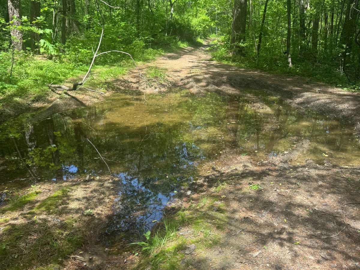 Shelby Cemetery Trail photo 4