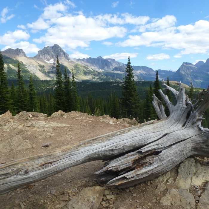 Near Highline to The Loop