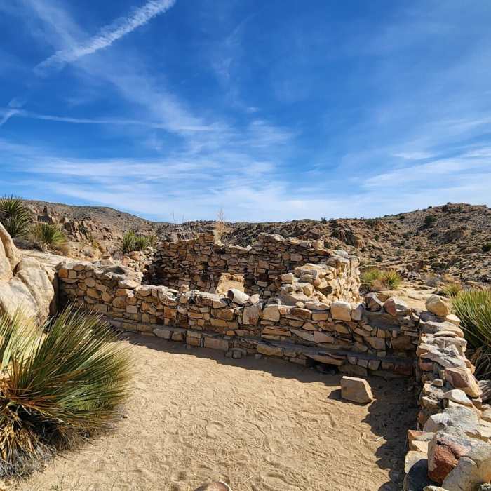 Near Desert Queen Mine Trail
