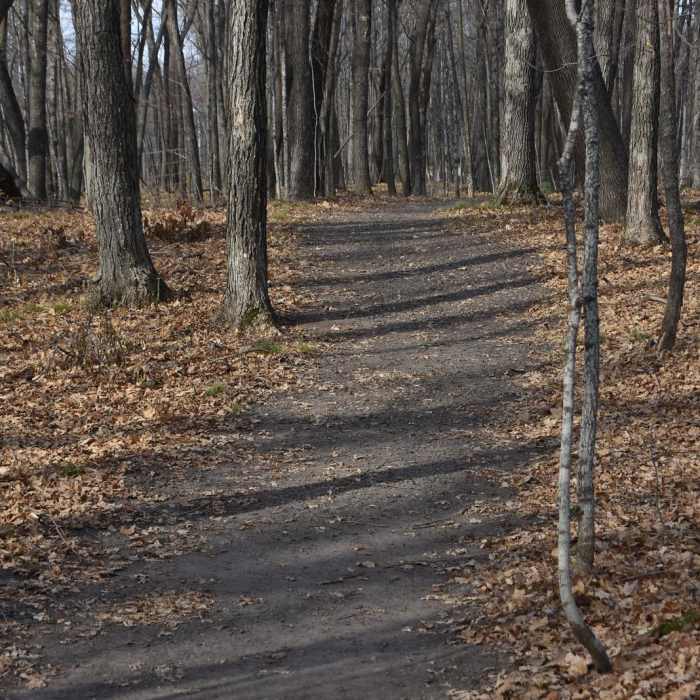 Near Hiking Club Trail
