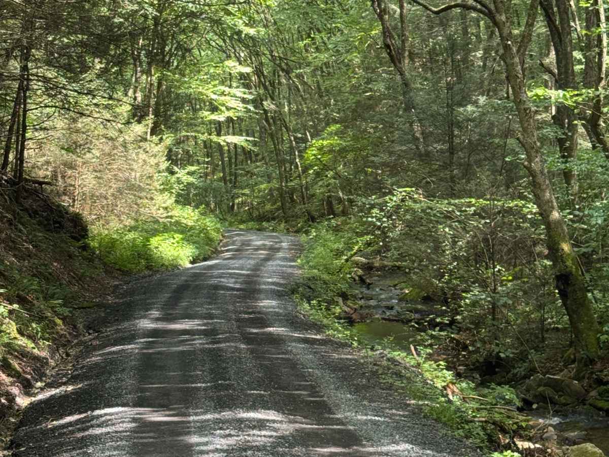 Huntley Road trail photo