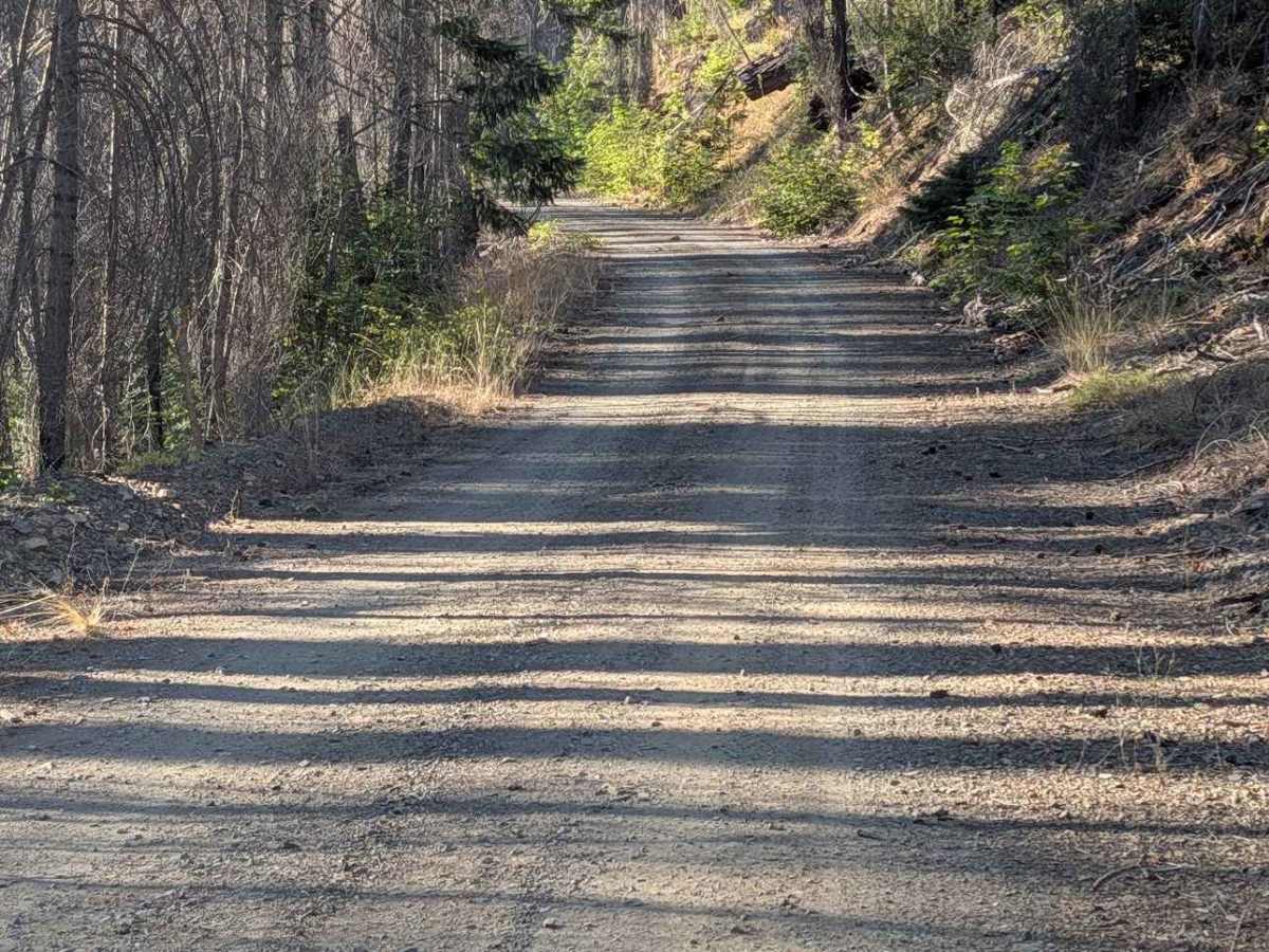 South Fork Goods Creek Road - FS 29N27 photo 3