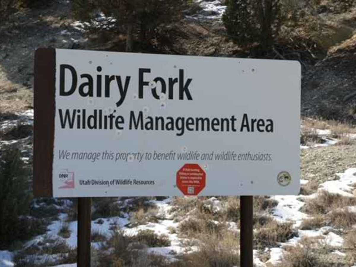 Dairy Fork - FS 50006 photo 3