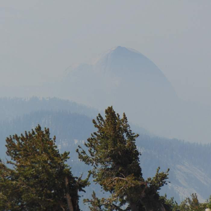 Near Mt. Hoffman Trail