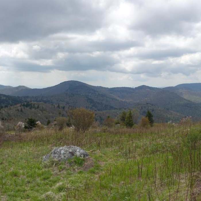 Near Black Balsam Knob via the Fork Mountain Loop Near Black Balsam Knob via the Fork Mountain Loop