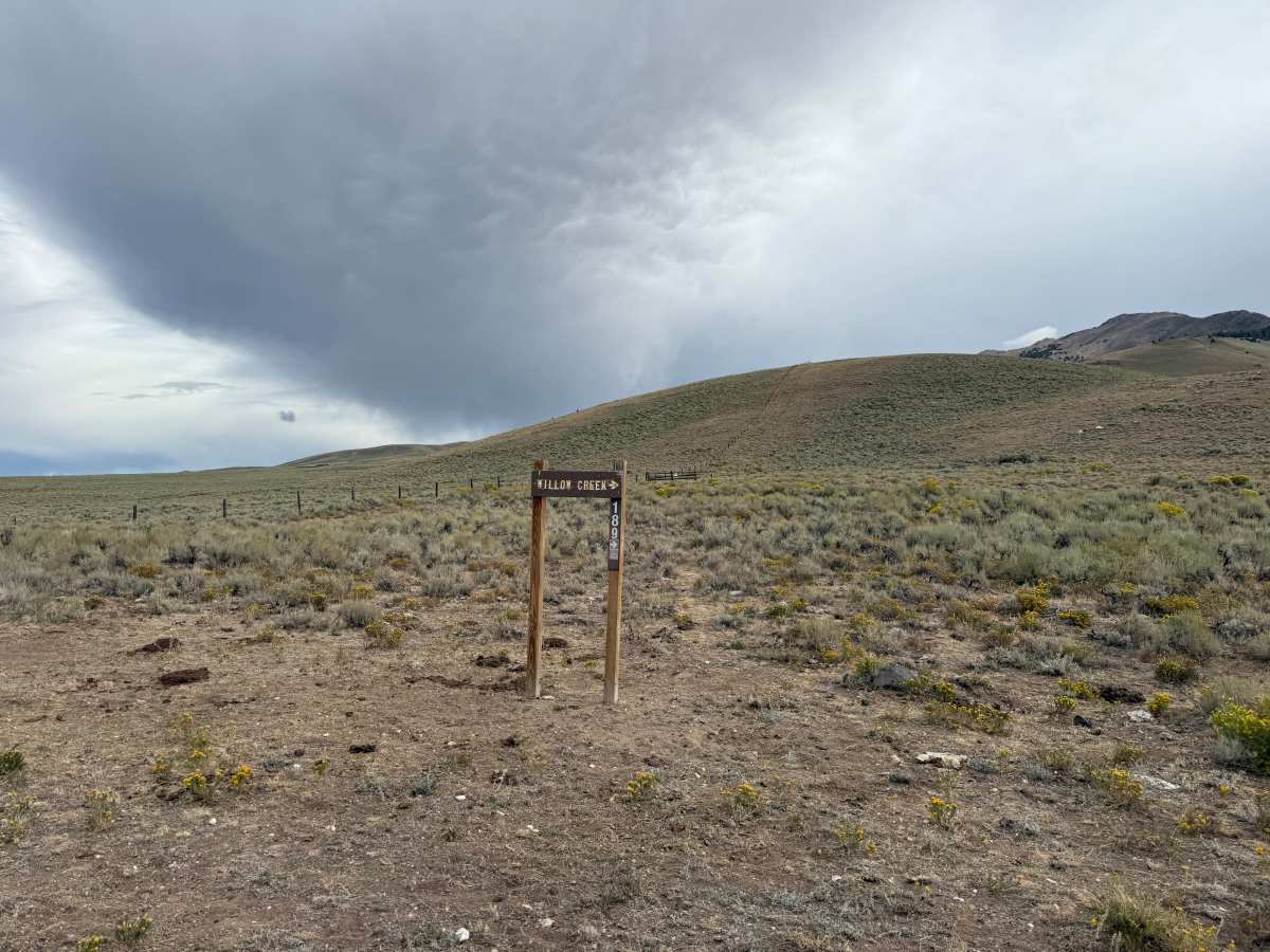 Willow Creek - Viola Mine photo 2