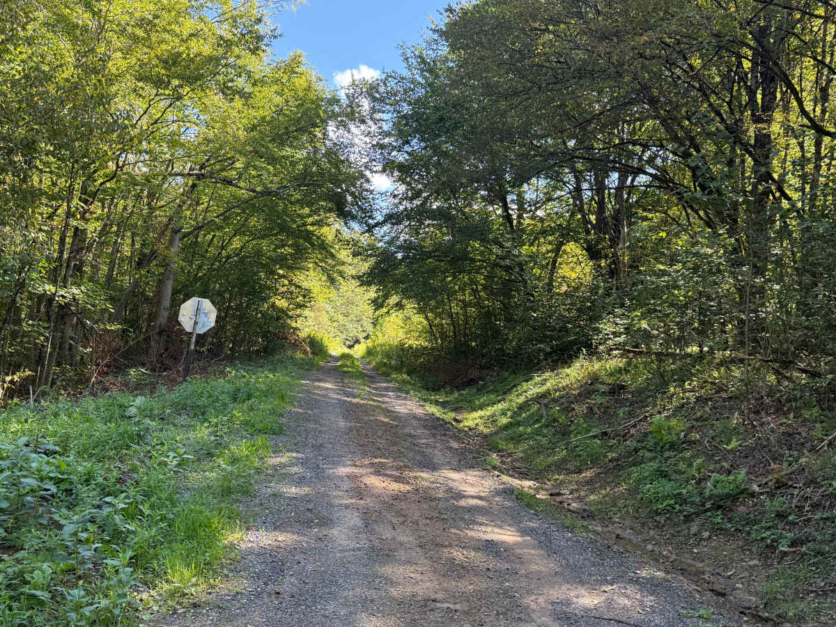 Bucklick A - FS 176A trail photo