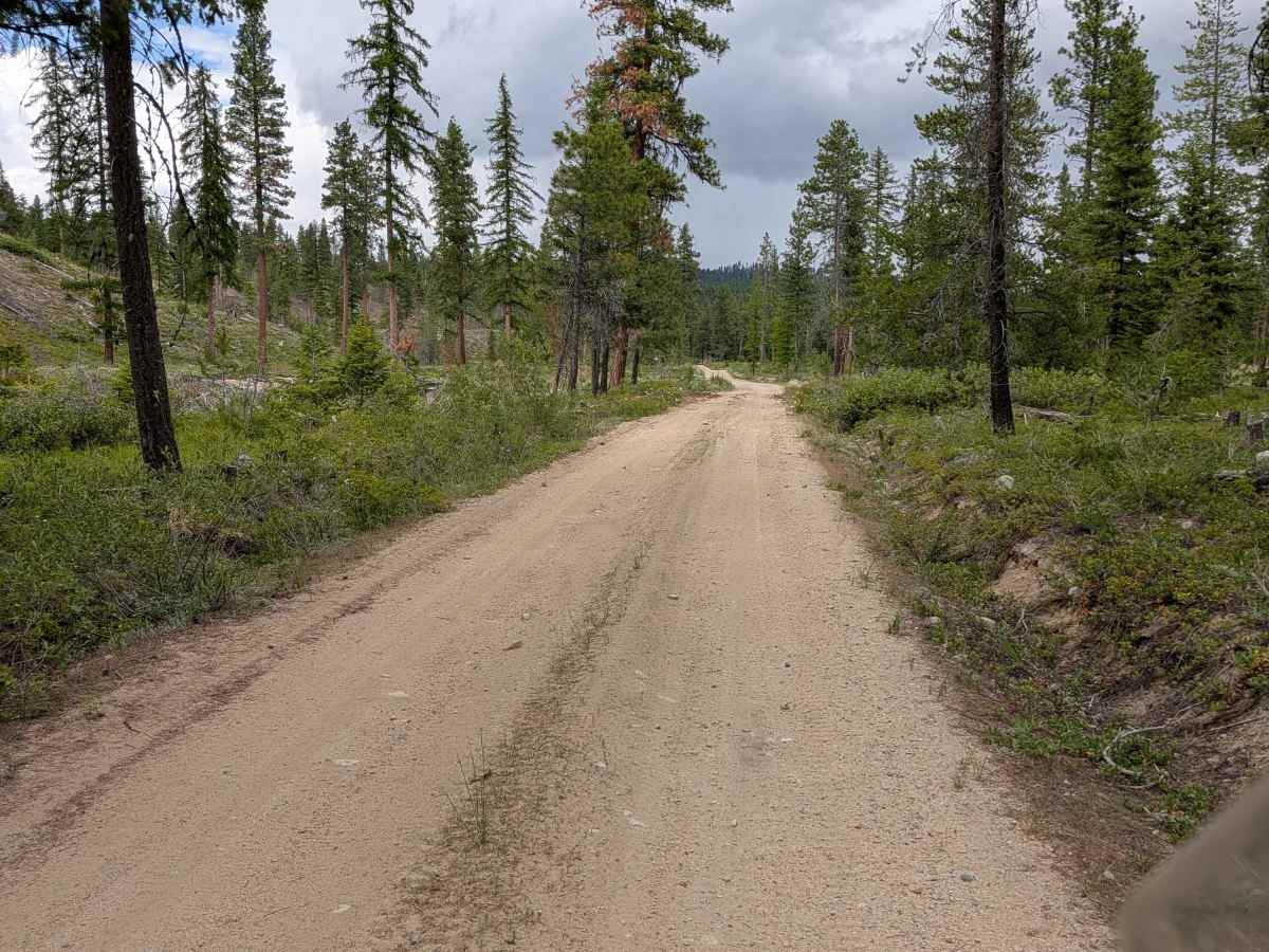 Woody Mountain Road photo 2