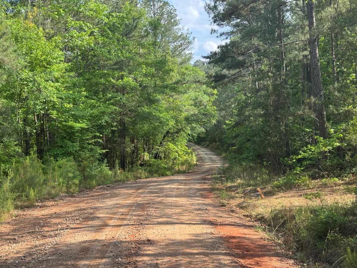 Reids Road photo 5