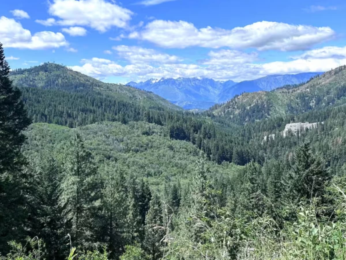 Eagle Creek Road photo 5
