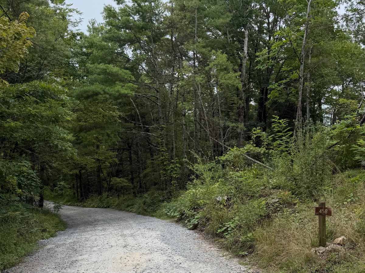 Wiseman’s View Road - FS 458 photo 2