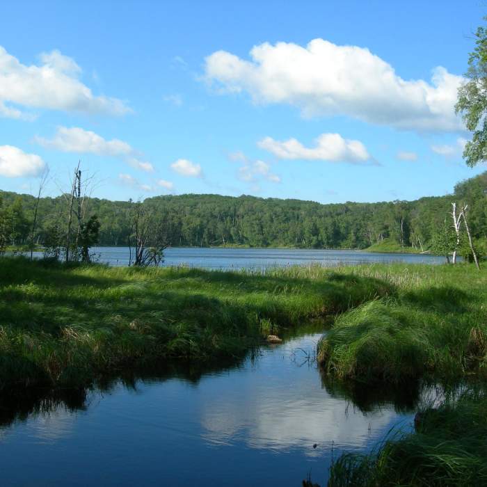 The spot between Lake Twenty-one and Nelson Lake Near Lakes Nelson & Twentyone Loops