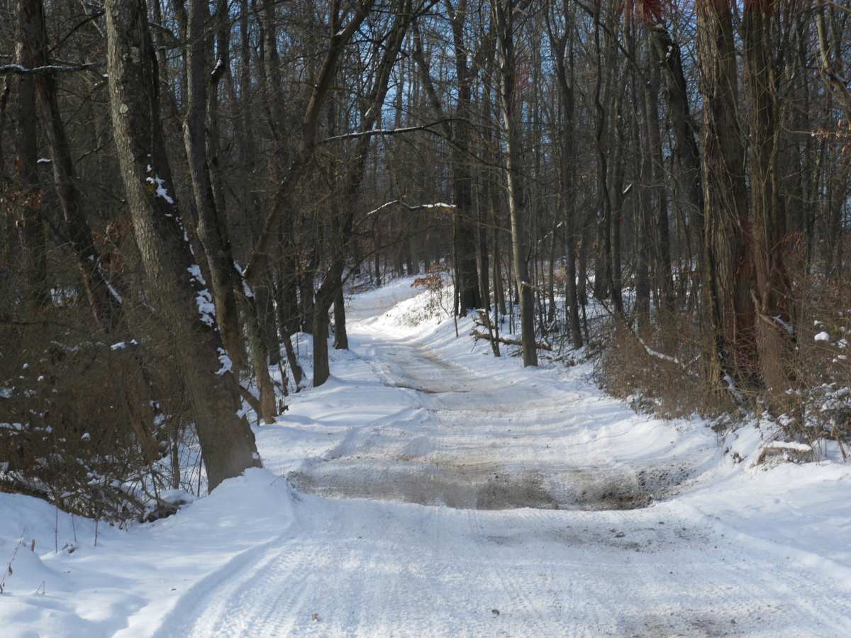 Trail 38 photo 3