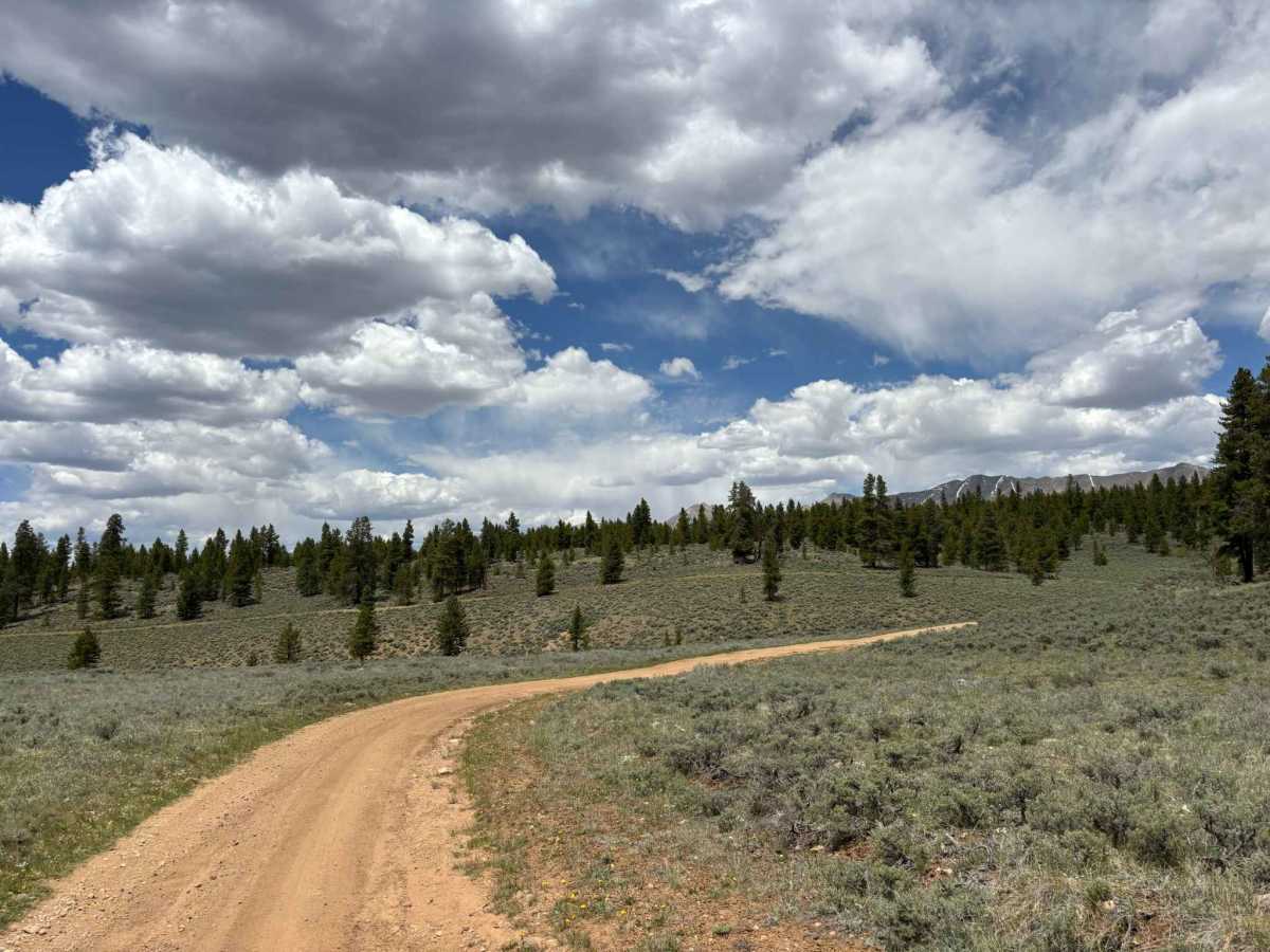 Upper Bull Road photo 2