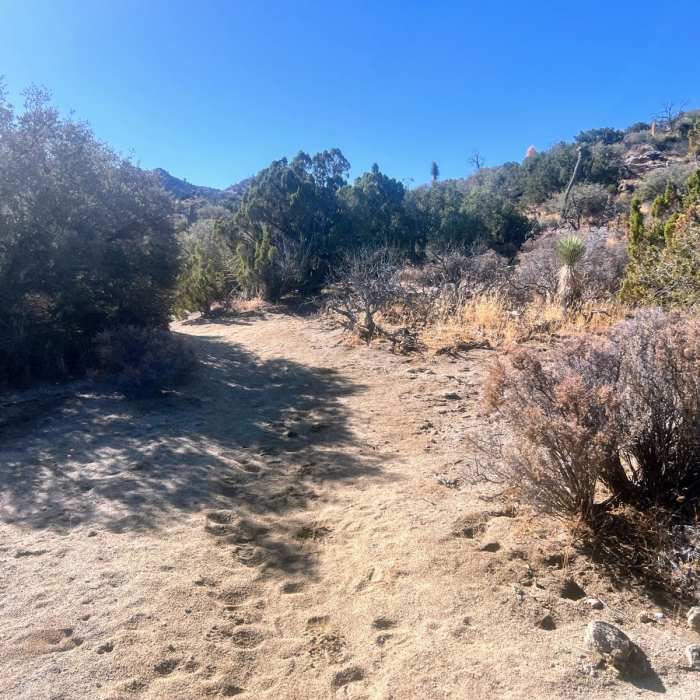 Near Black Rock Campground to Ryan Camp