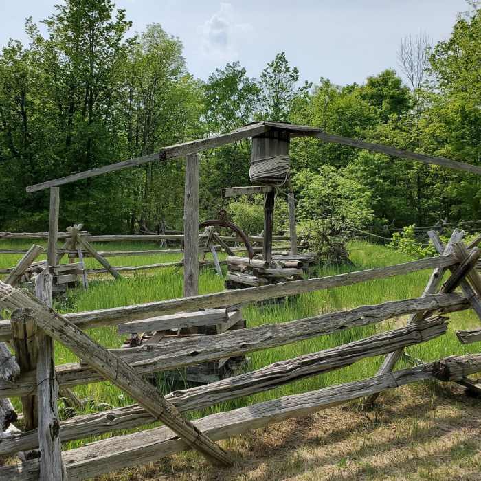 Near Silver Queen Mine Trail