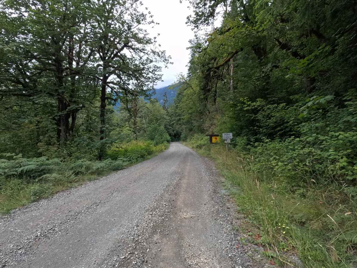 Dosewallips Road - FS 2610 trail photo