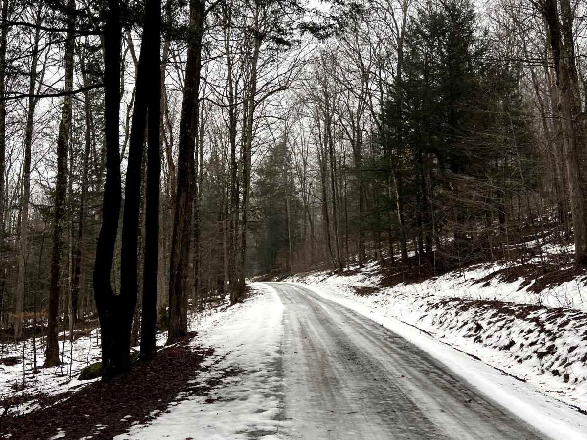 Landrus Road photo 5