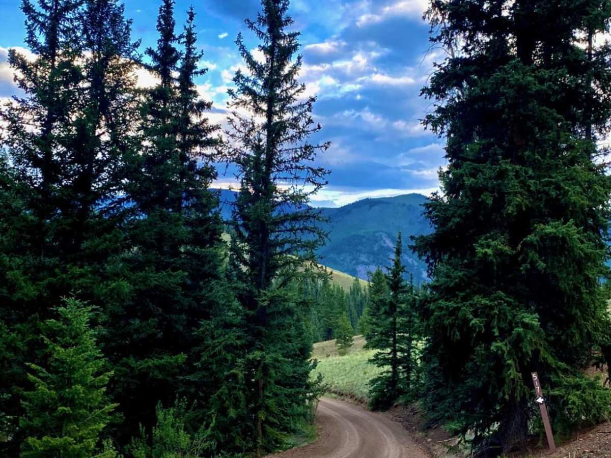 NF 517 trail photo