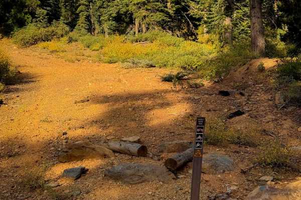 Grizzly Ridge 