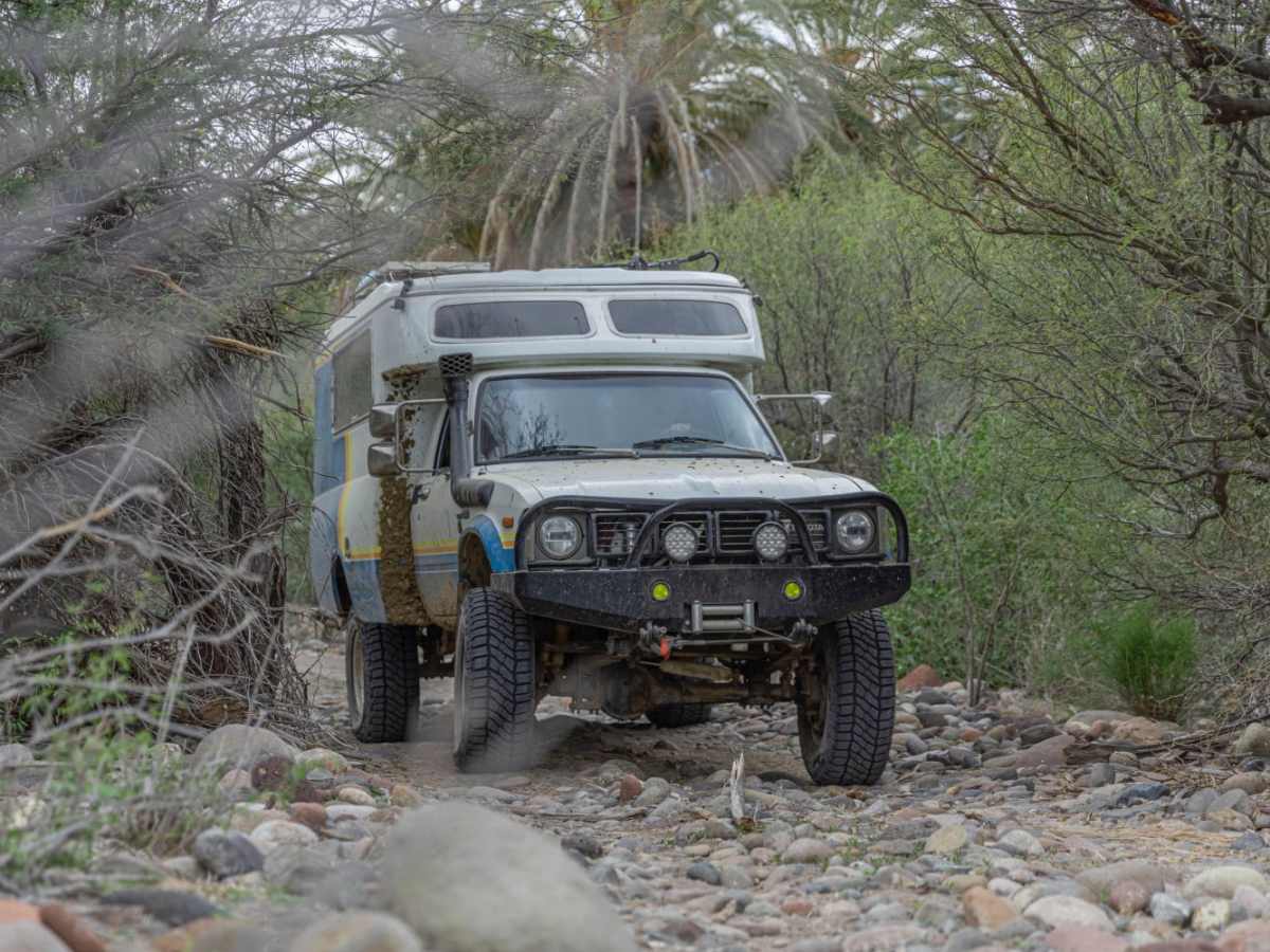 Desert Jungle to San Ignacio photo 5