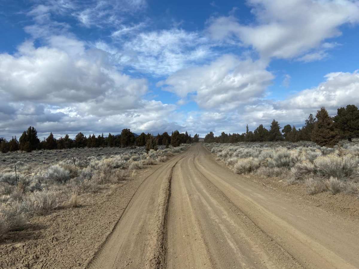 Long Green Mountain Lookout Loop photo 6