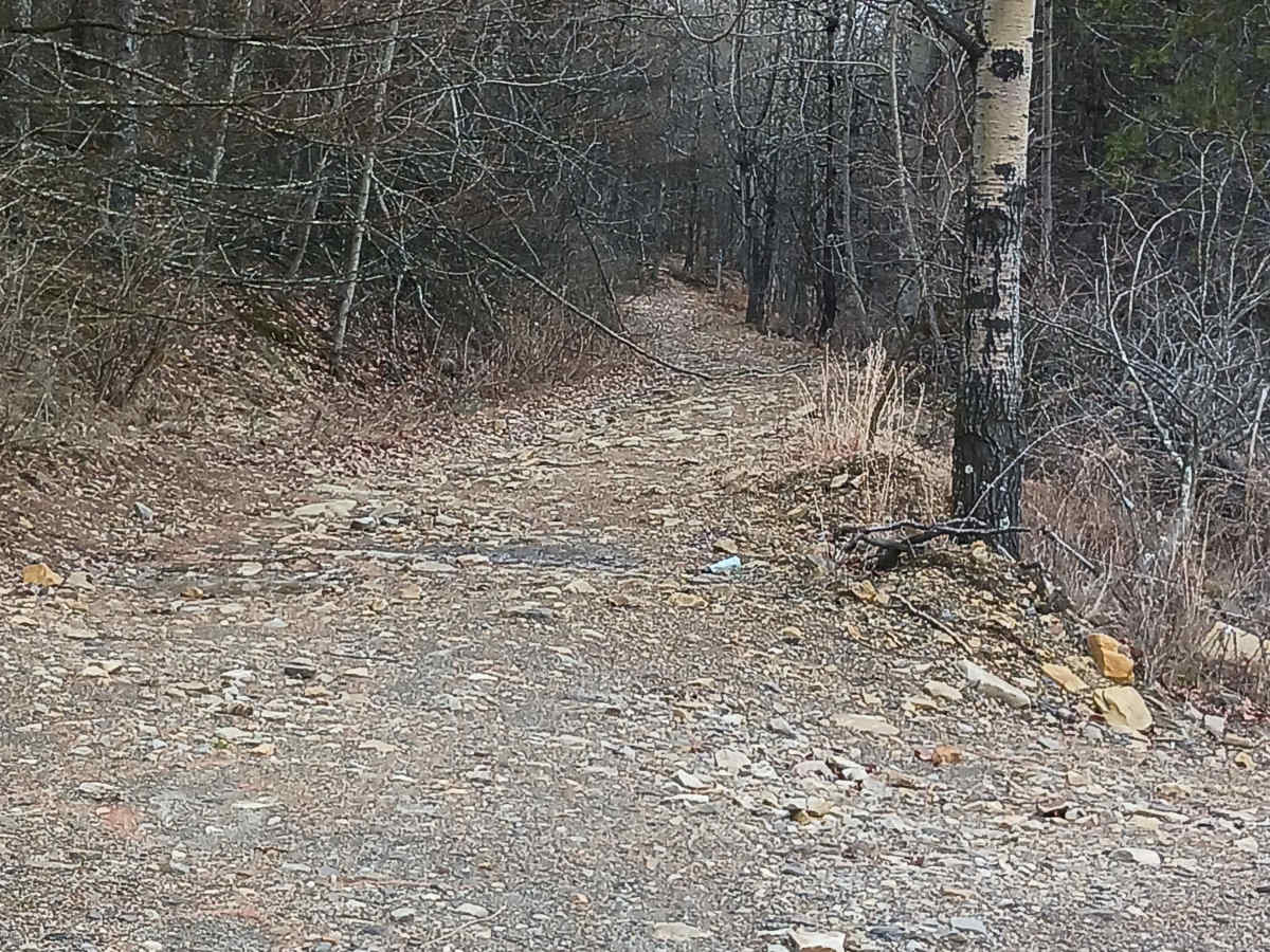 Trail 11E - Rock Run Recreation Area photo 2