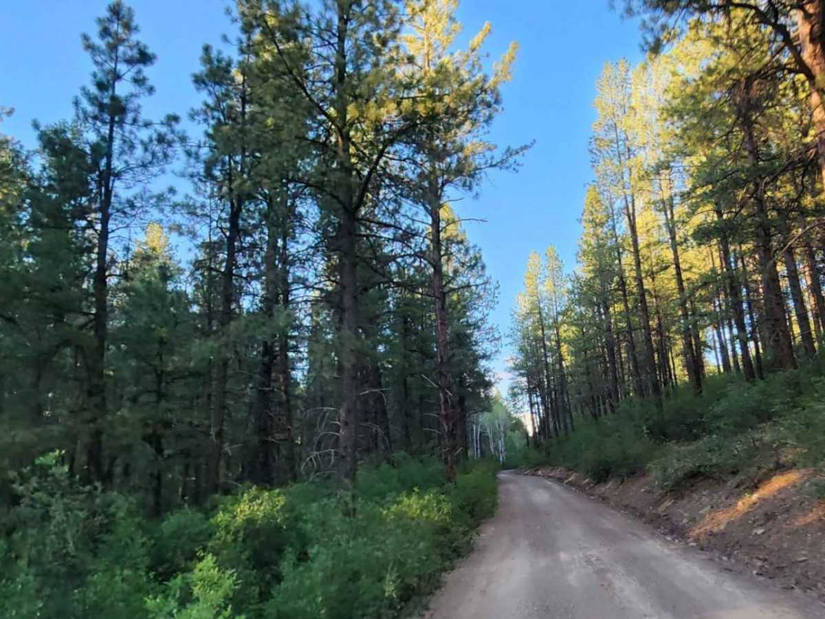 Upper House Creek Road photo 5