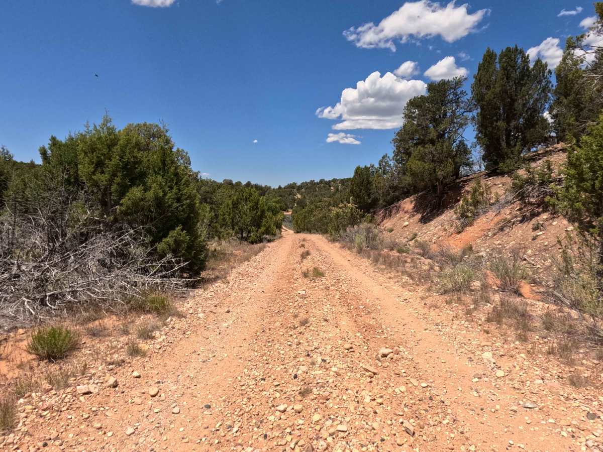 BLM 109G photo 4