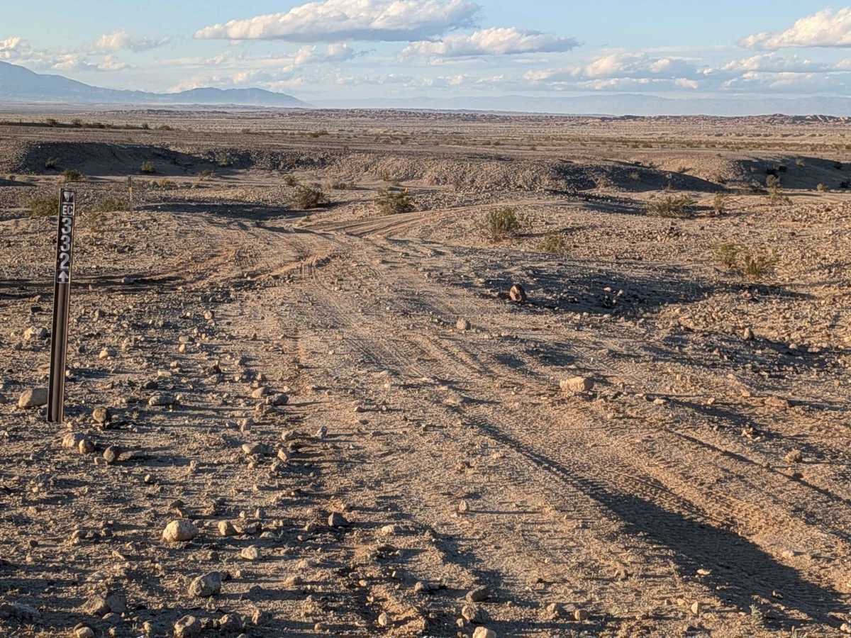 BLM 332 photo 3