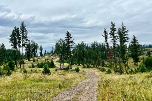 Loon Lake Meadows